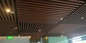 Ceiling