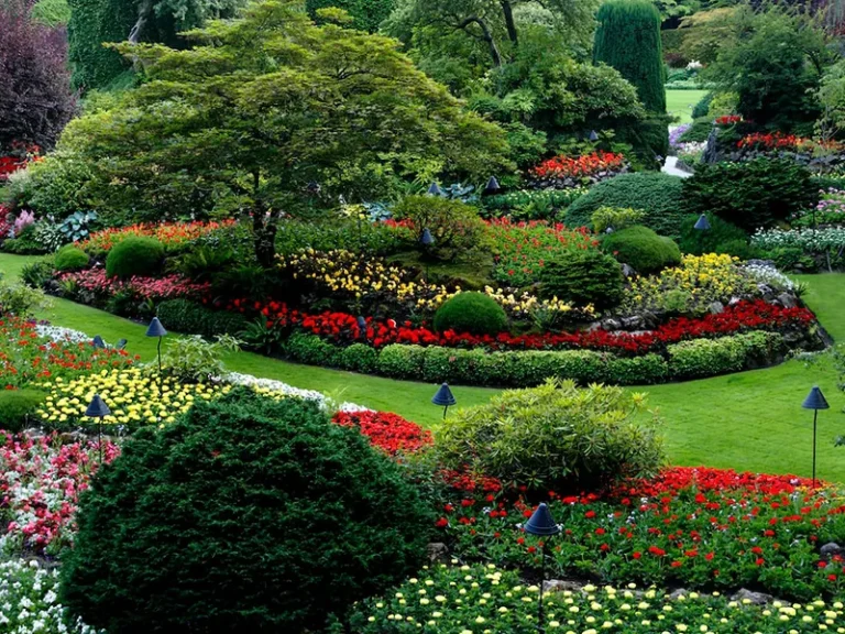 Landscaping