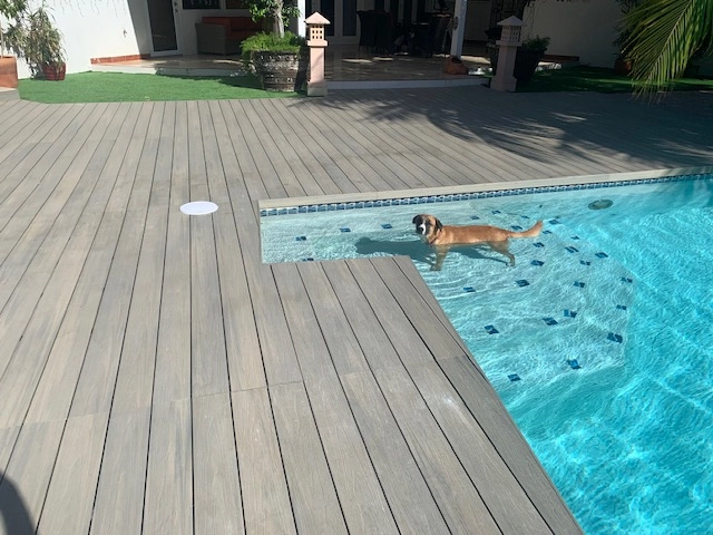 swimming pool deck