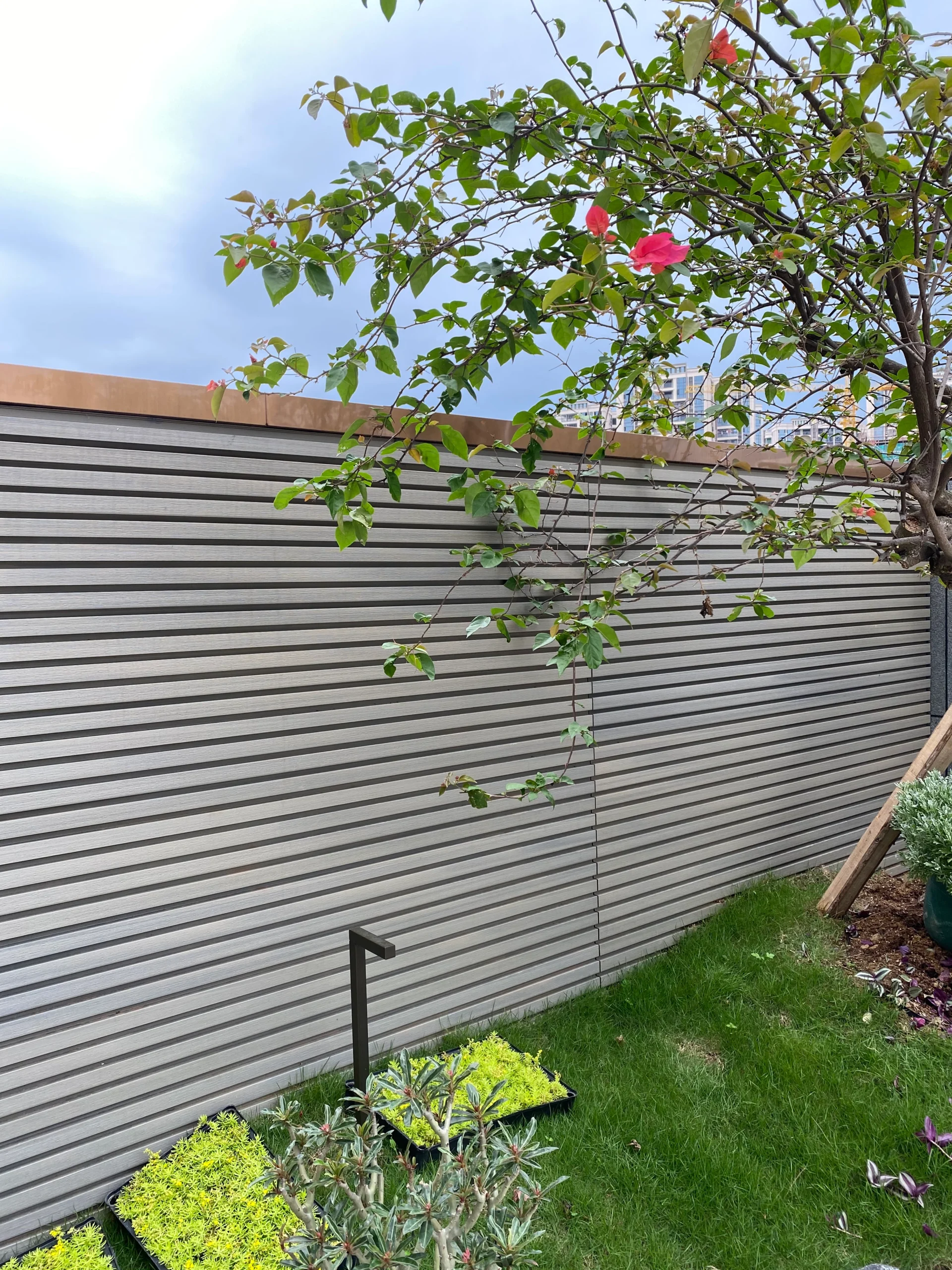 wall cladding